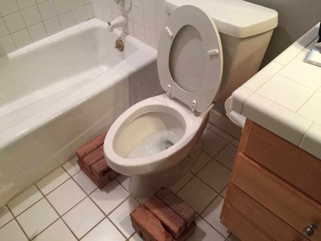 Squat Toilets, Hemorrhoid Prevention, and Longevity Dr. John Day