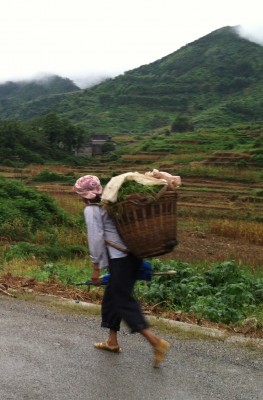 Peasants on their way to work in the morning in the village of Poyue